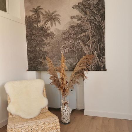 Le Studio Cosy - Labenne Exterior photo