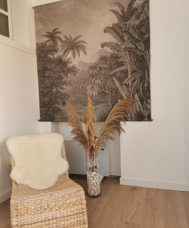 Le Studio Cosy - Labenne Exterior photo
