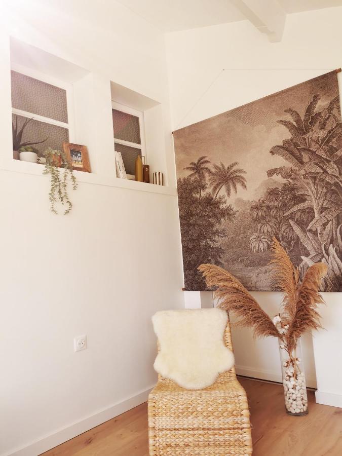 Le Studio Cosy - Labenne Exterior photo